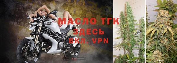 гашик Вяземский